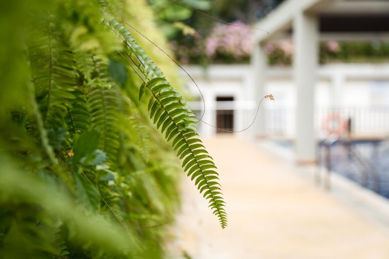 มุนติง ปาไรโซ Hotel Puerto Princesa ภายนอก รูปภาพ